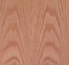 RED OAK PLYWOOD
